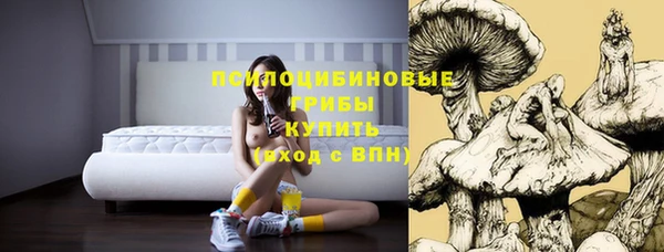 дживик Костерёво