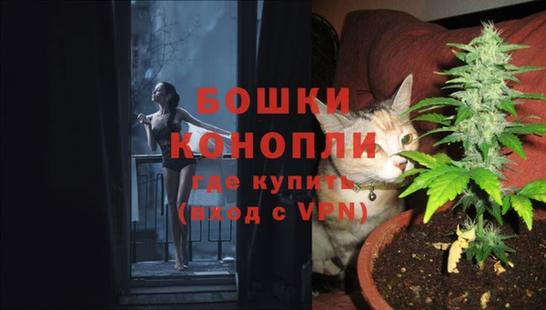 СК Киреевск