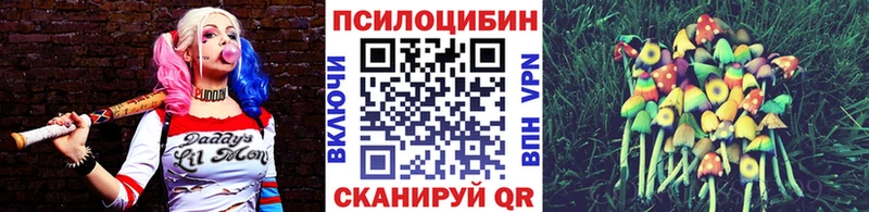 Купить где Голицыно Псилоцибиновые грибы MAGIC MUSHROOMS